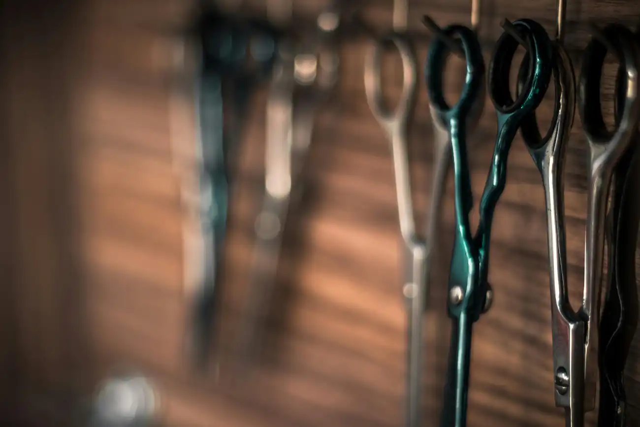 A row of shears hanging on a wall